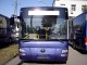 SDX CITY (Bus urbain)
